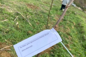 “Bir öğretmen bir nesil yetiştirir, bir fidan bir orman büyütür” Projesiyle anlamlı etkinlik ÖĞRETMENLER ANISINA FİDANLAR TOPRAKLA BULUŞTU