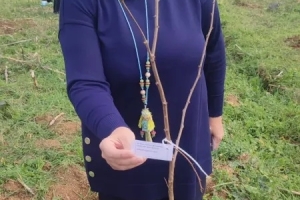 “Bir öğretmen bir nesil yetiştirir, bir fidan bir orman büyütür” Projesiyle anlamlı etkinlik ÖĞRETMENLER ANISINA FİDANLAR TOPRAKLA BULUŞTU