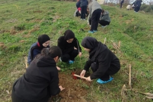 “Bir öğretmen bir nesil yetiştirir, bir fidan bir orman büyütür” Projesiyle anlamlı etkinlik ÖĞRETMENLER ANISINA FİDANLAR TOPRAKLA BULUŞTU