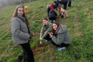 “Bir öğretmen bir nesil yetiştirir, bir fidan bir orman büyütür” Projesiyle anlamlı etkinlik ÖĞRETMENLER ANISINA FİDANLAR TOPRAKLA BULUŞTU